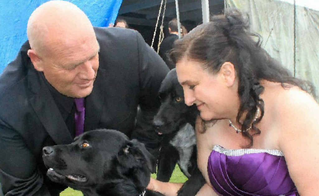 Pet dog Cougar was best man for the wedding of Kevin Ginger and Ruth Harley. Pet dog Cougar was best man for the wedding of Kevin Ginger and Ruth Harley.